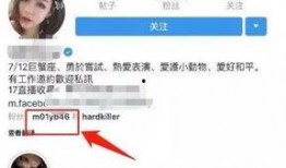 网红结婚半年爆料视频,甜蜜背后有何不为人知的故事？
